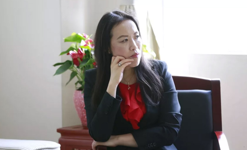 欧中文化经济教育交流协会主席JinYing Bohr-Bai